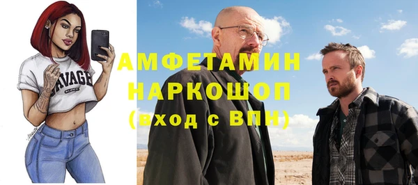 крисы Абаза