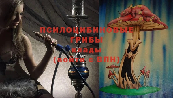 apvp Абдулино