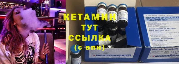 крисы Абаза