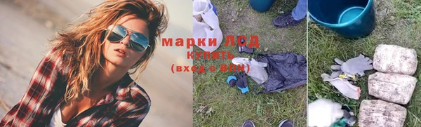 трава Снежногорск