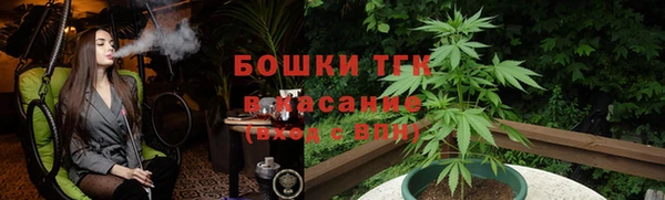 гидра Алексин