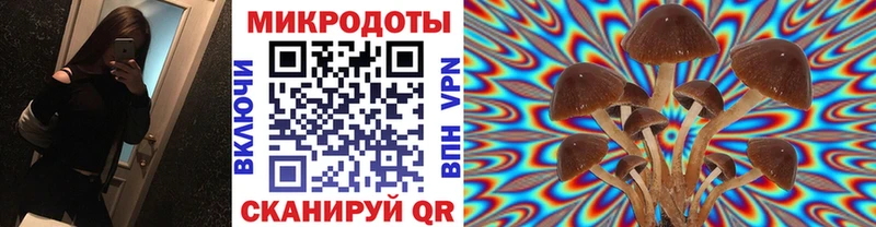 kraken ссылки  Циолковский  мориарти формула  Псилоцибиновые грибы Cubensis 