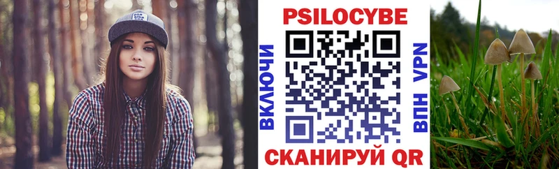 Галлюциногенные грибы мухоморы Циолковский